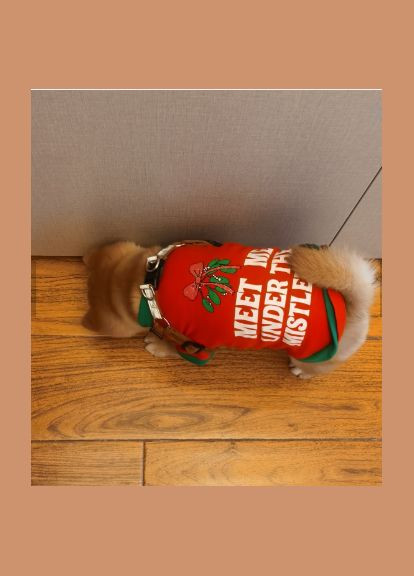 Світшот для котів Pet Style "Принт" Червоний S No Brand - (323234266)