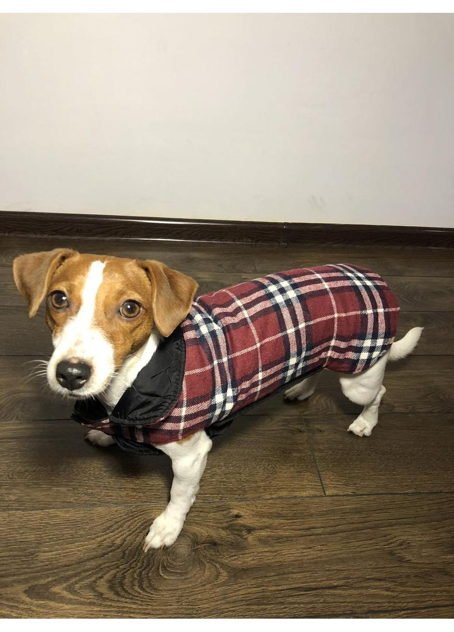 Тепла двостороння водонепроникна куртка для собак No Brand (362571843)