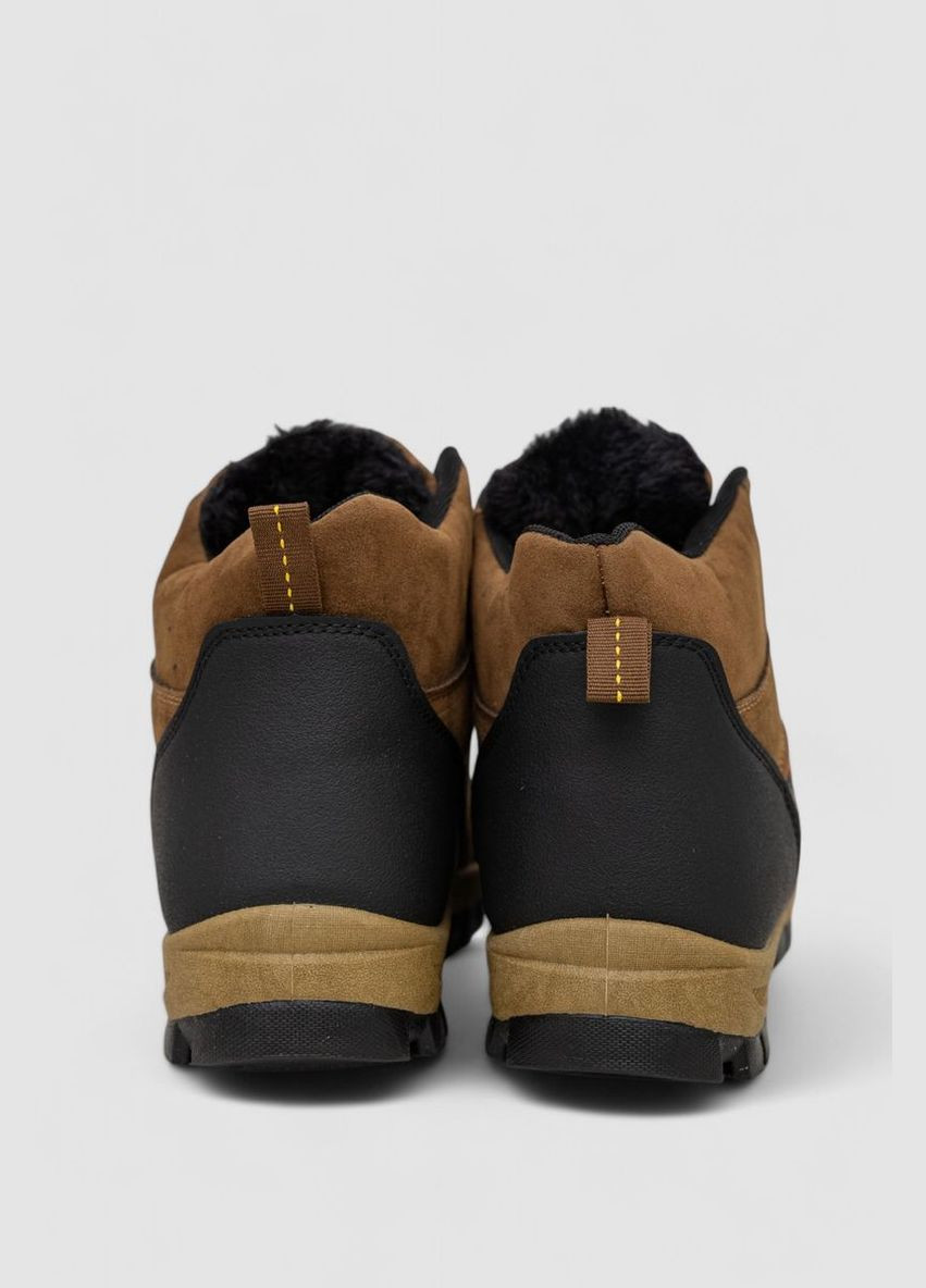 Черевики чоловічі на хутрі Ager 244R981 (312382459)