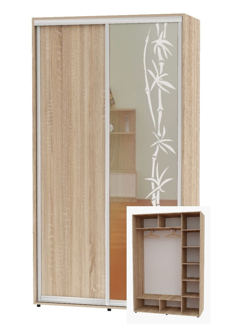 Шкаф-купе двухдверный 160*45*230 Дуб Сонома ДСП/Зеркало с пескоструйным рисунком Алекса (360460412)