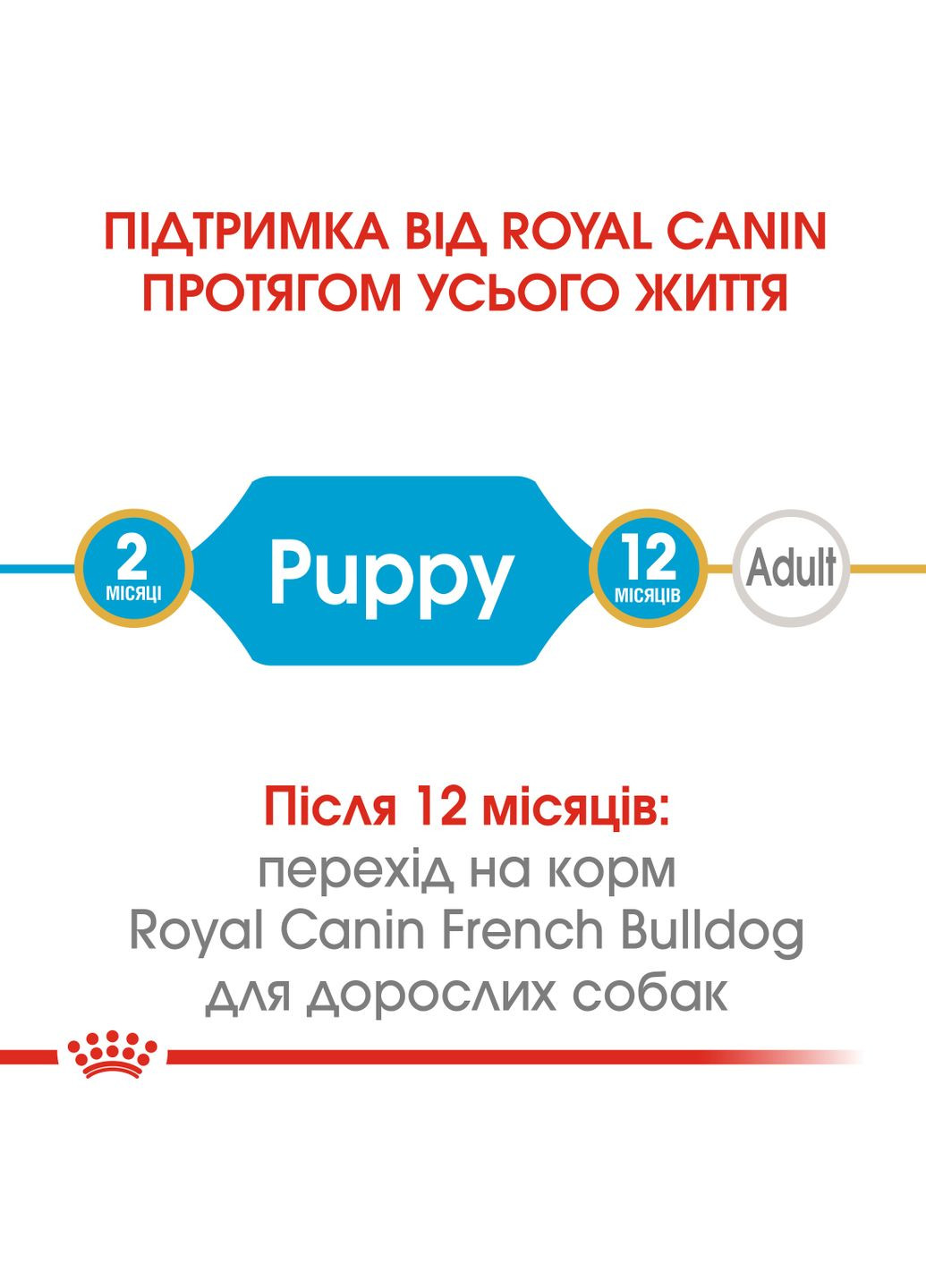 Сухий повнораціонний корм для цуценят French Bulldog Puppy породи Французький бульдог віком до Royal Canin (279568567)