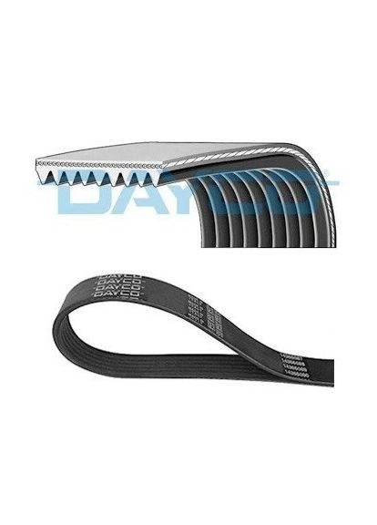 Ремінь генератора Dayco (366106502)
