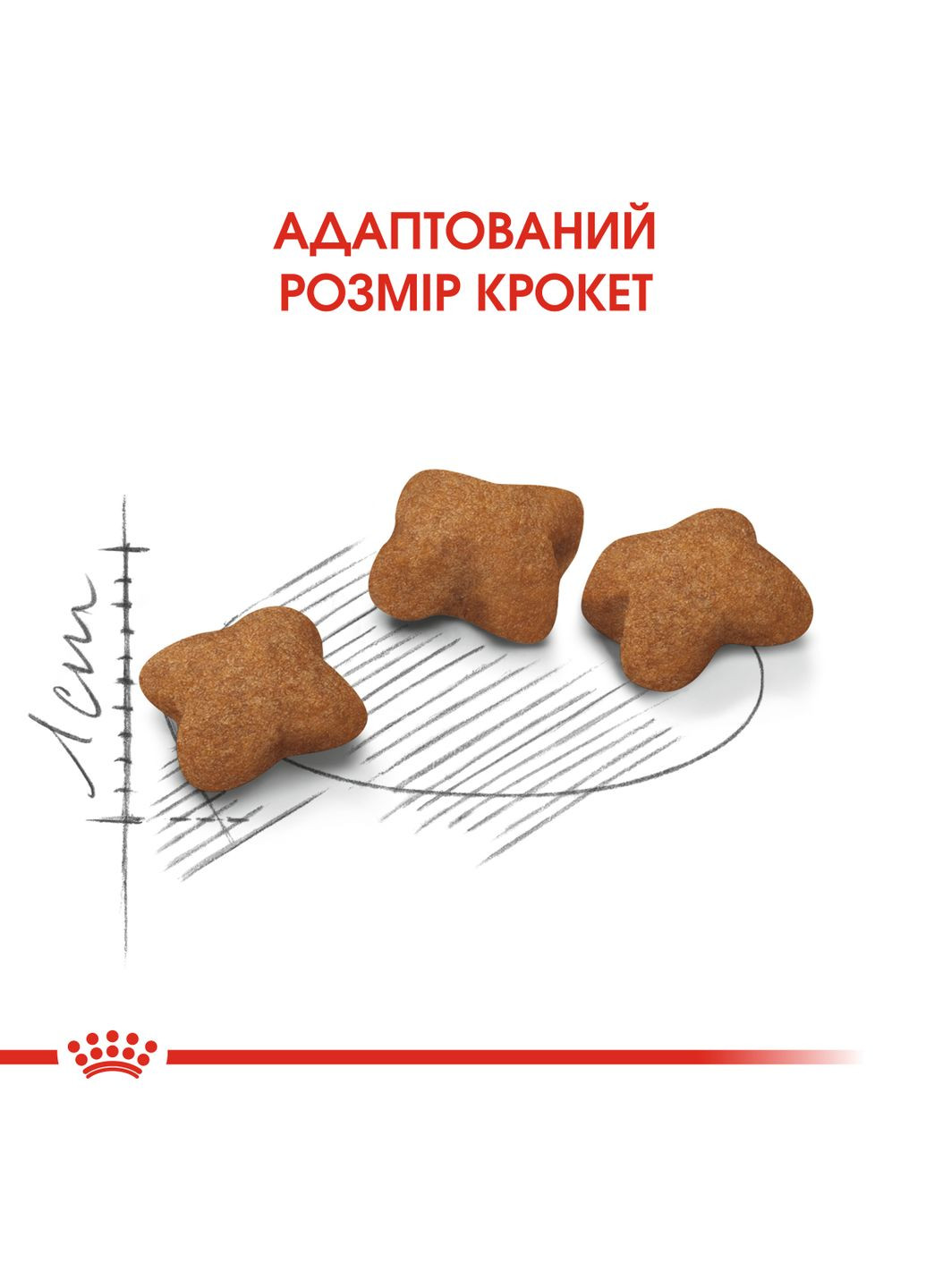 Сухой корм для стерилизованных котят Kitten Sterilised 2 кг (3182550805186) 2562020 Royal Canin (308752616)