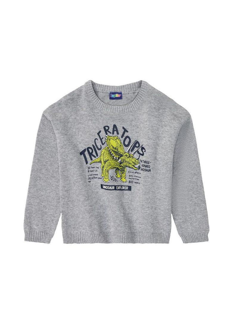 Сірий демісезонний светр кофта для хлопчика тоненький. Lupilu