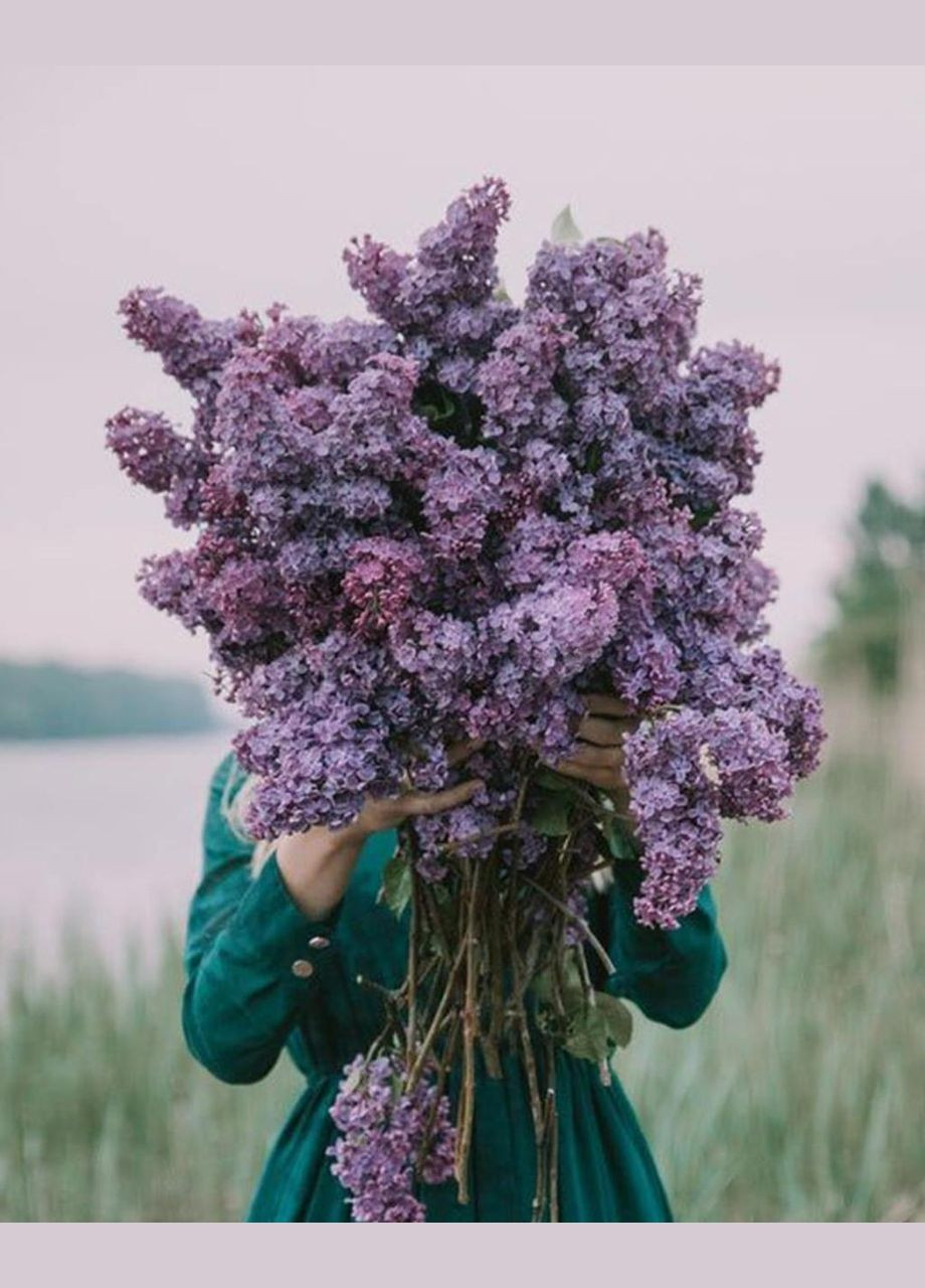 Blue Lilac (Блакитний бузок) аромадифузор, 100 мл Collines de Provence (305404618)