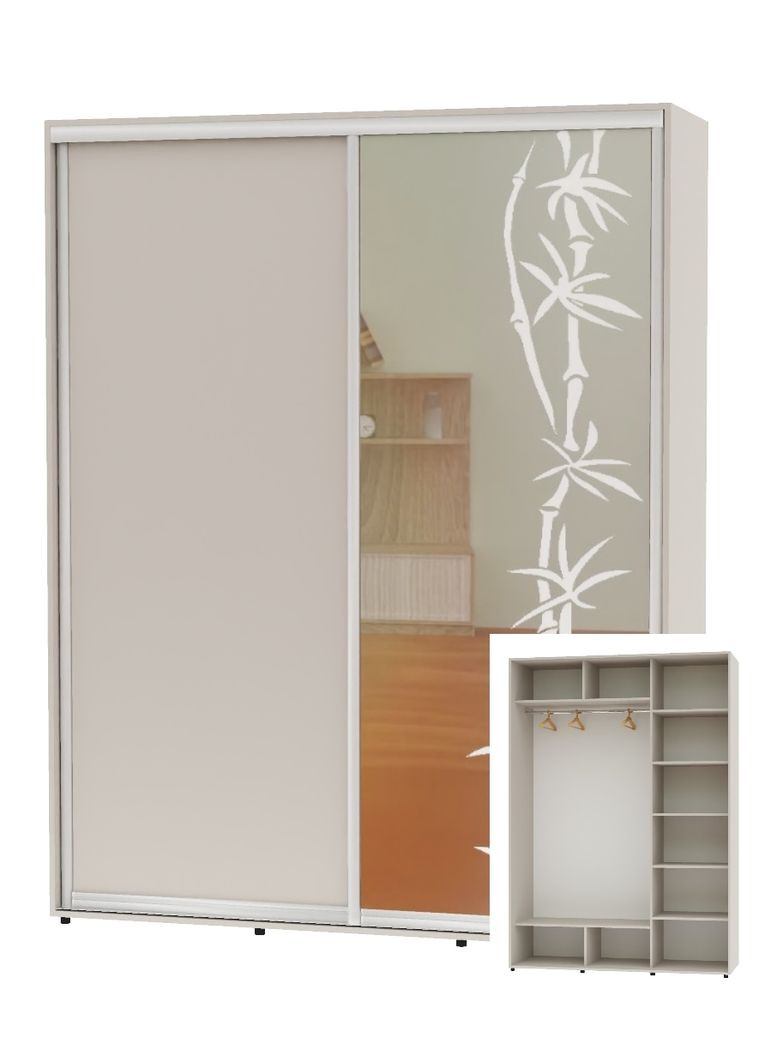 Шкаф-купе двухдверный 170*60*220 Кашемир ДСП/Зеркало с пескоструйным рисунком Алекса (360478755)