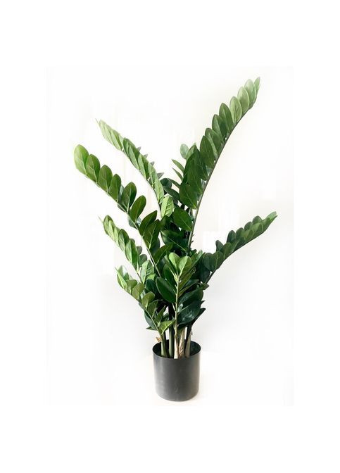 Заміокулькас SGH штучний в горщику 115 см HVOYA (370439116)