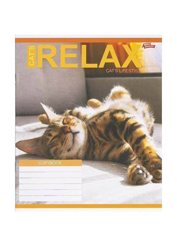 Зошит 18 арк. клітинка "МРІЇ" / Сплячі котики Мрії Збуваються (342415614)