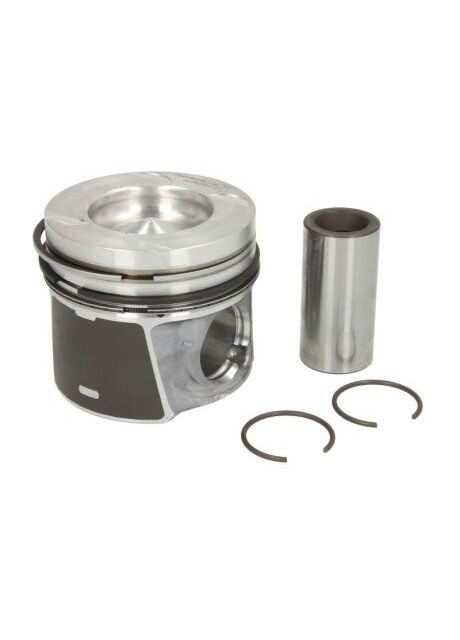 Поршень Nural (366300928)