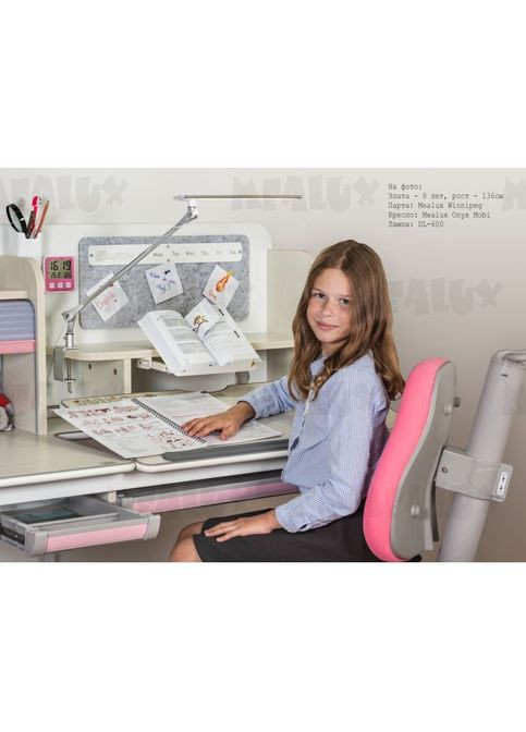 Парта (BD-630 MG + BL Multicolor) Mealux Winnipeg Multicolor Blue (301219648)