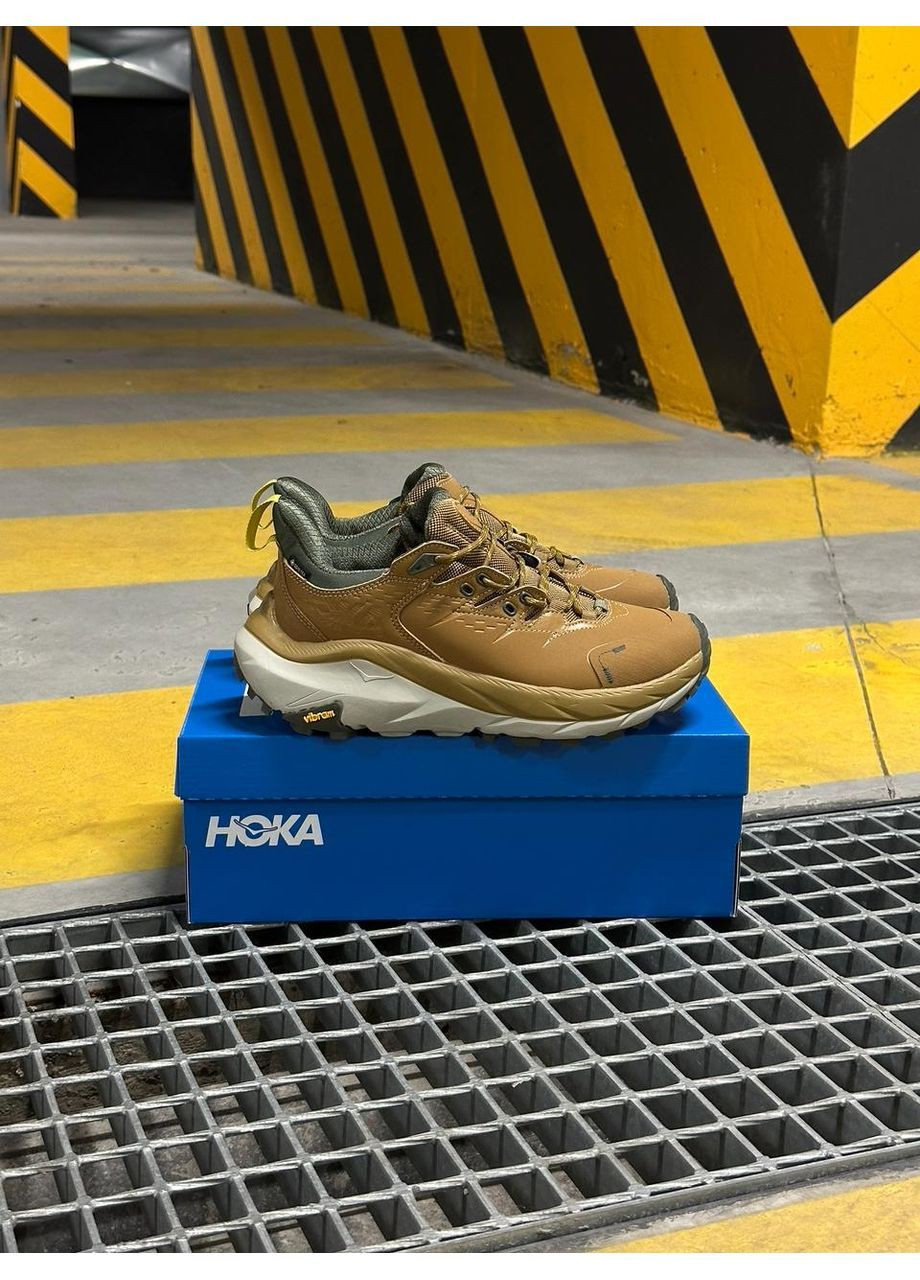 Руді Осінні кросівки чоловічі hoka honey barley No Brand One M Kaha 2 Low GTX Sneaker