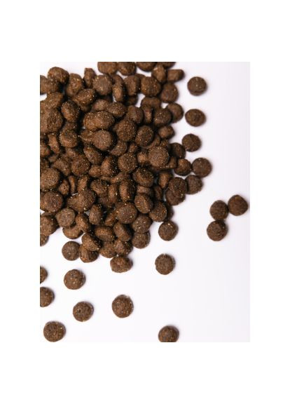 Сухий корм для собак кг (4820232630181) Savory Adult All Breeds rich in Fresh Duck and Rabbit 12 (369879151)