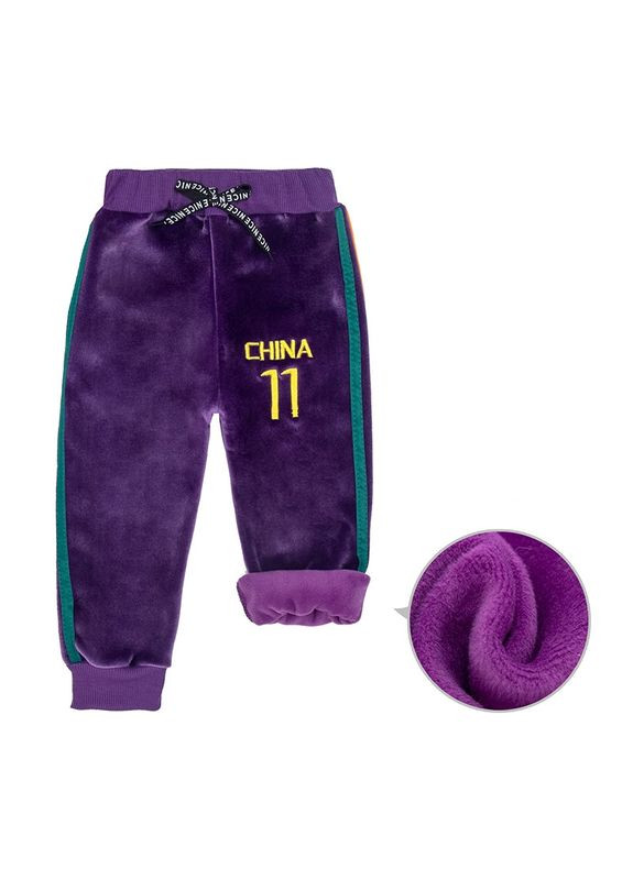 Фиолетовые демисезонные штаны детские china (фиолетовый 100см) (о1465) Qoopixie