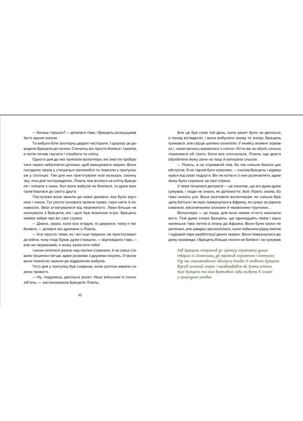 Книга Енот Ракета и другие герои Евгения Завалий (9789664481868) Видавництво Старого Лева (316084209)