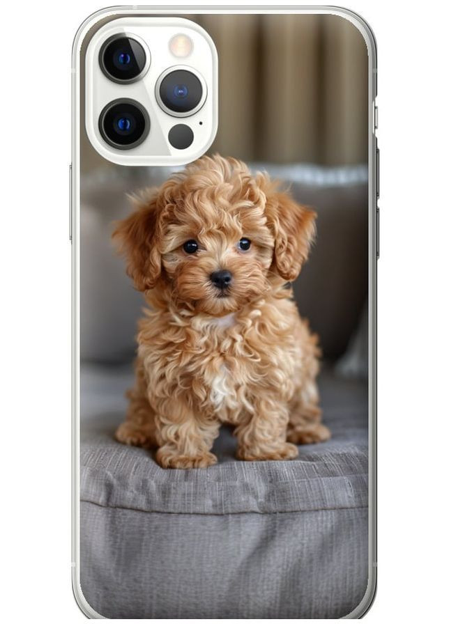 2D пластиковий чохол 'Mini-maltipoo' для Endorphone Apple iPhone 12 Pro (297867481)