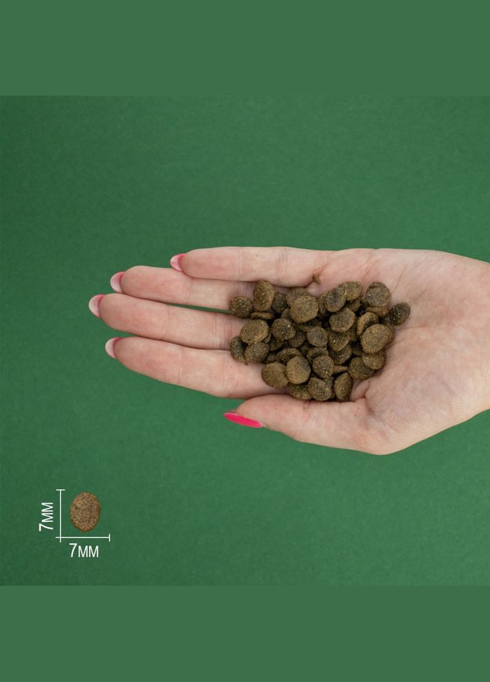 Сухий корм Salmon Mini Adult для дорослих собак дрібних порід з лососем 7 кг (8436538946725) Bravery (317223263)