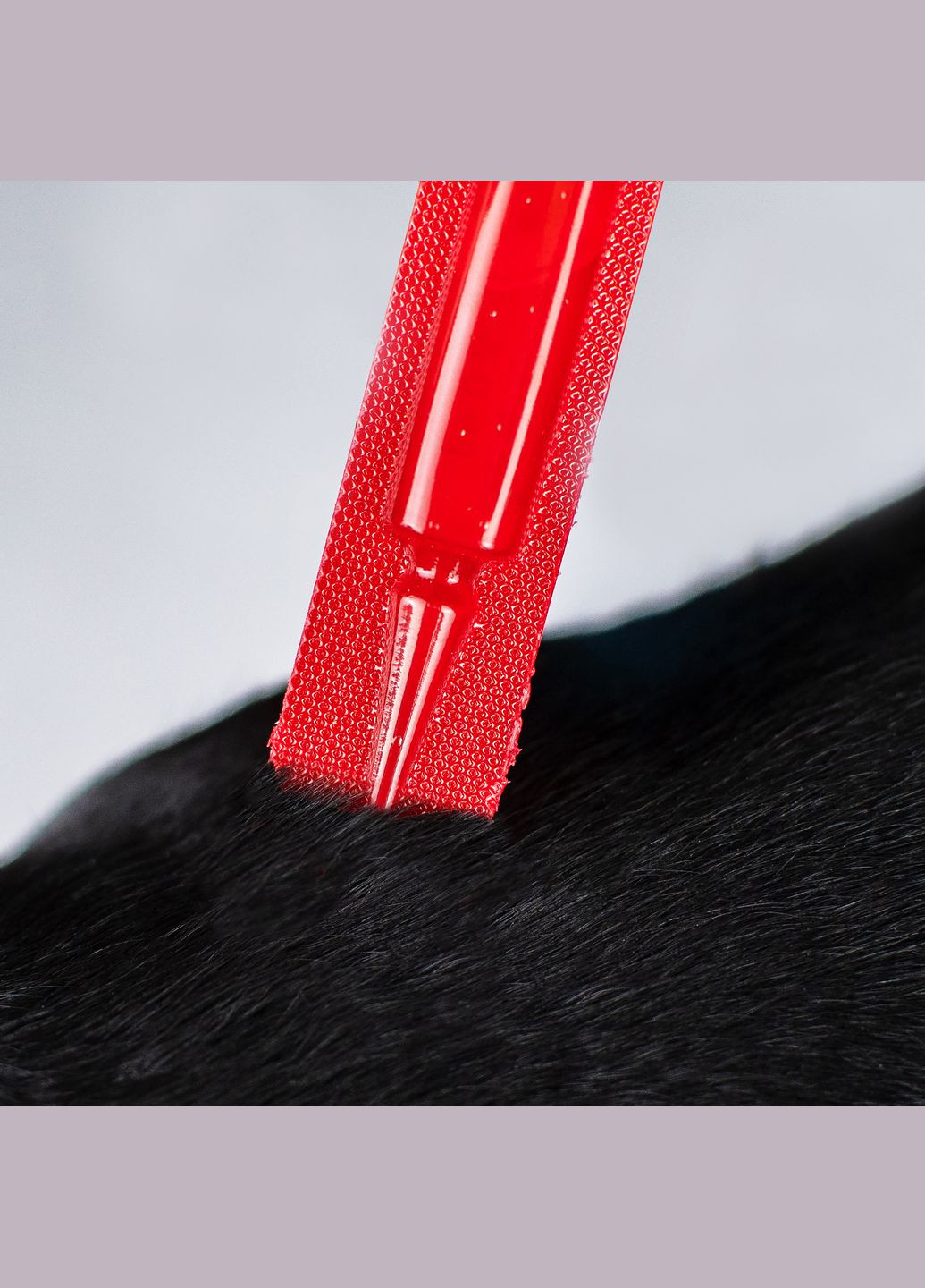 Капли Profiline инсектоакарицид для собак до 4 кг 4 пипетки по 0.5 мл (4823082431052) ProVET (279568676)