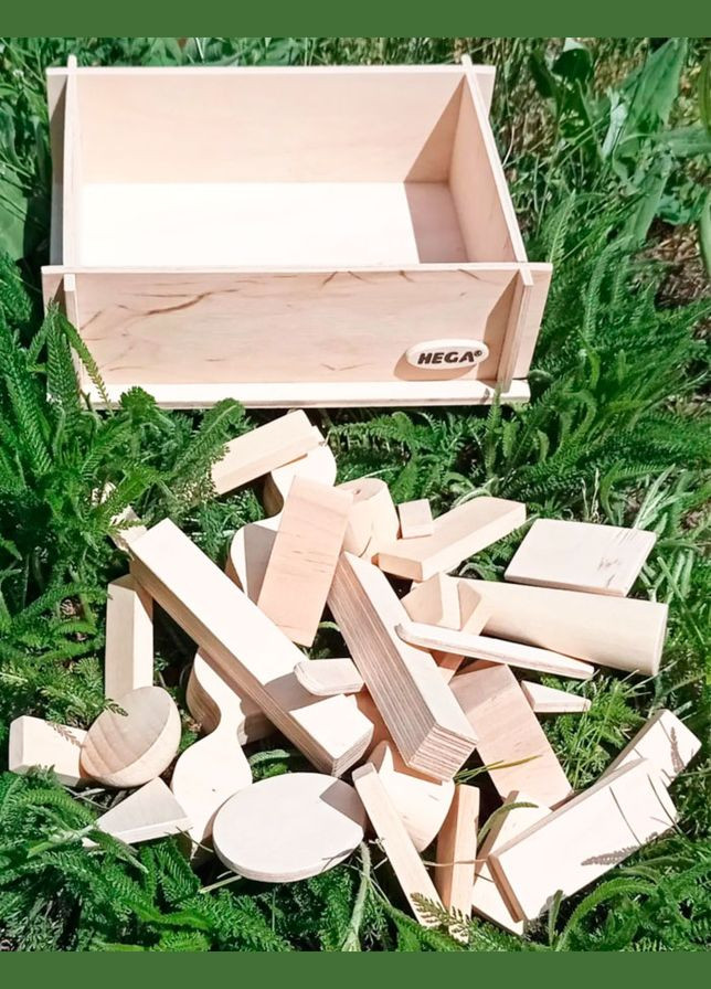 Конструктор. Набір геометричних форм, 31 дет. (7723/268H) Hega (324423422)