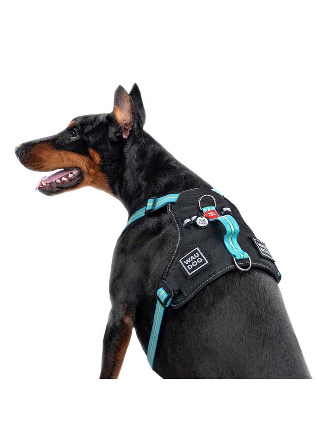 Шлея для собак безопасная Nylon Металлическая пряжка-фастекс M Ш 20 мм А 45-70 см В 60-80 см WAUDOG (292175465)