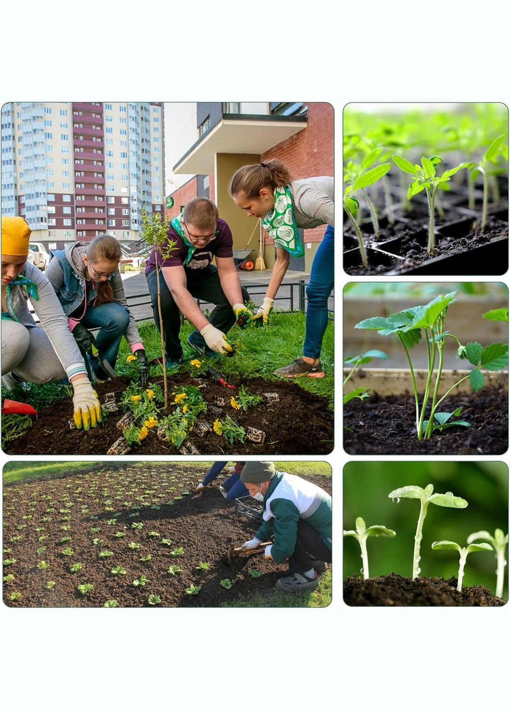 Набір універсальних лотків GrowBox для пророщування рослин зі світлодіодним світлом 19*15 см 4 шт No Brand (351456584)