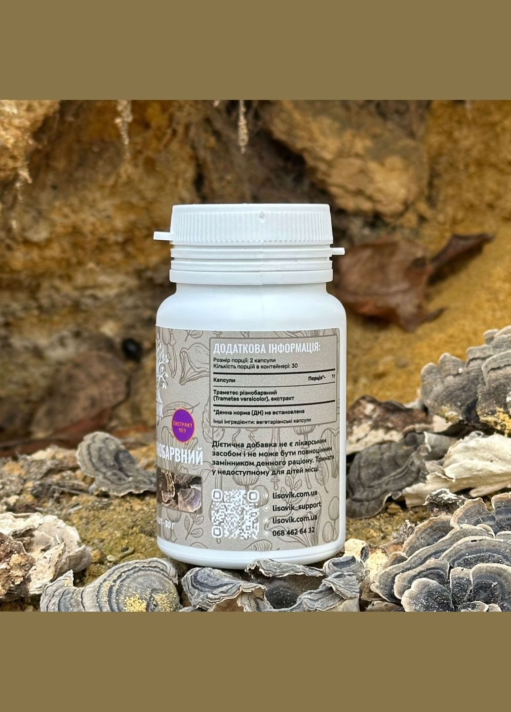 Гриб Траметес разноцветный, экстракт 10:1, капсулы 60 шт по 0.5 г Лісовик (334292937)