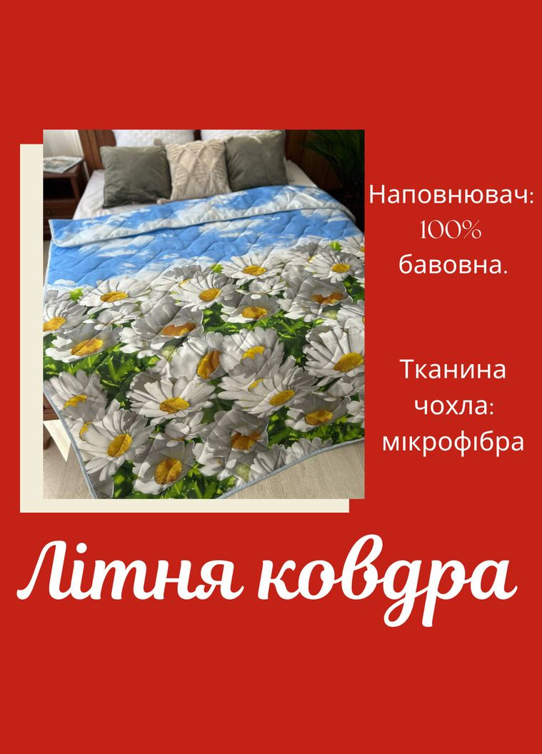 Літня ковдра бавовна стьобана 215х145 (П4К-lito-kovdra-001/5-02) No Brand (306633547)