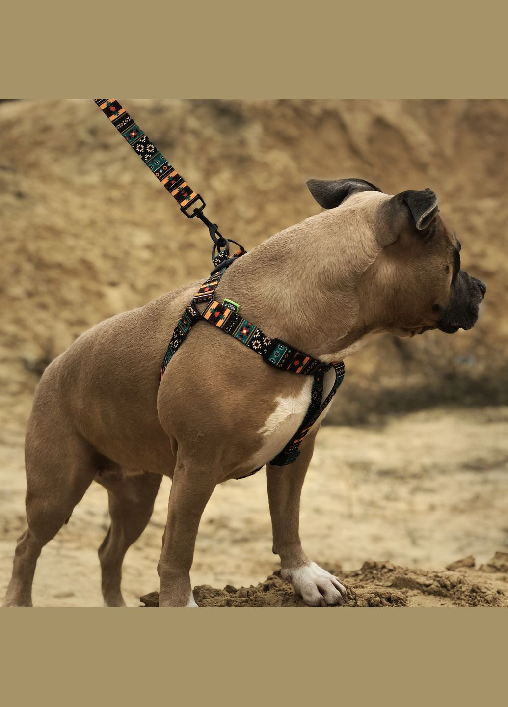 Шлей охоплення грудної клітки 50-81 см ширина 25 мм Boha green (2100102442017) Hi Dog (279562950)