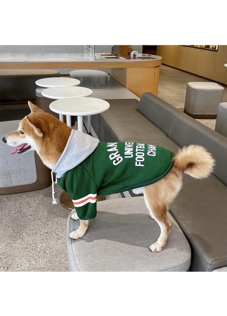 Худые для собак No Brand (362136170)