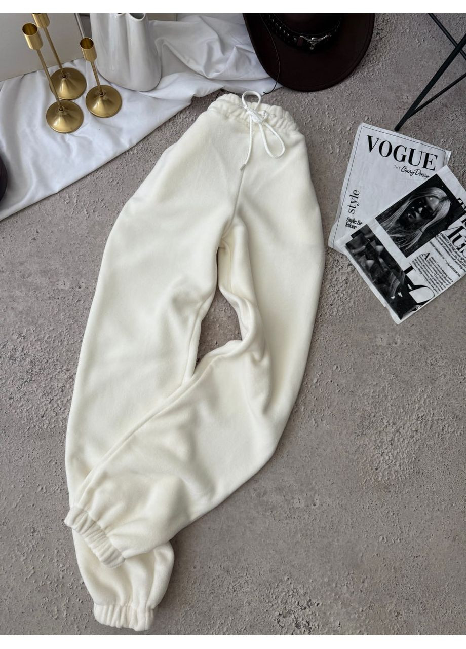 Джогери жіночі на флісі Style Point (358068106)