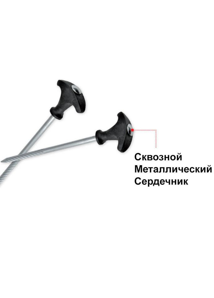 Кілочки для намету, набір металевих наметових кілочок 25 см 10 шт. No Brand (350626013)