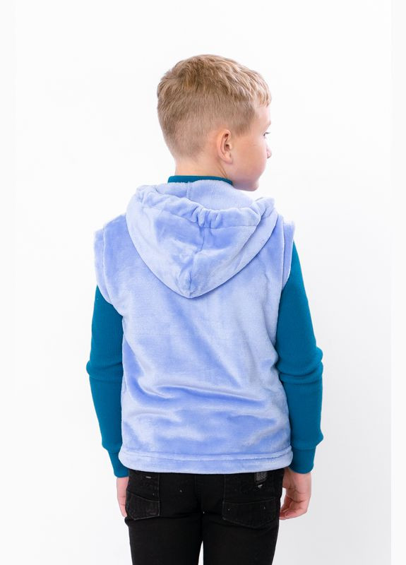 Жилетка для мальчика (с капюшоном) (p-12132) Носи своє (363043755)