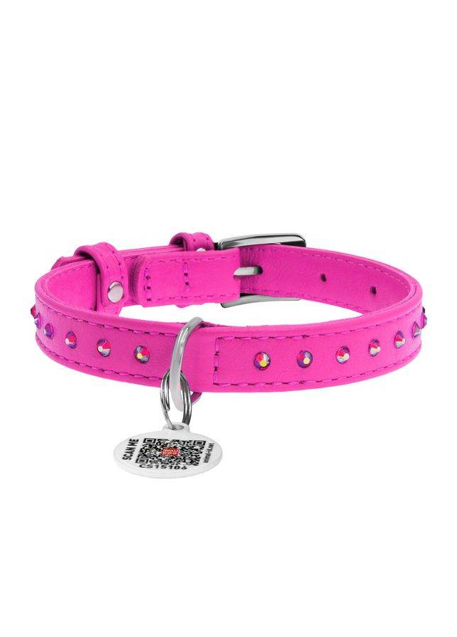 Нашийник WAUDOG (333706304)