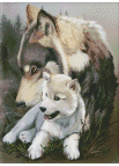 Алмазная мозаика - Волчья нежность 30х40 см IDEYKA (370795835)