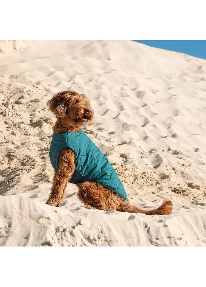 Жилет E.Vest для собак морская волна Pet Fashion (376582749)