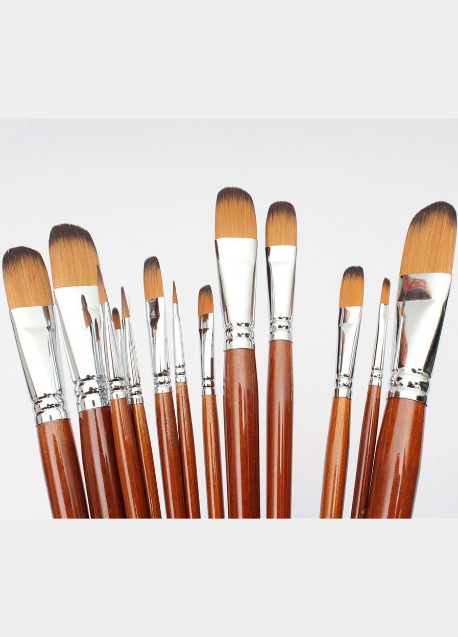 Набір професійних художніх пензликів " " 13 штук Worison (322650389)