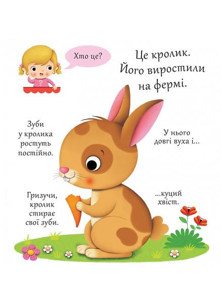 Кролики - Белино Н. Видавництво "Навчальна Книга-Богдан" 978-966-10-5139-2 (336329673)