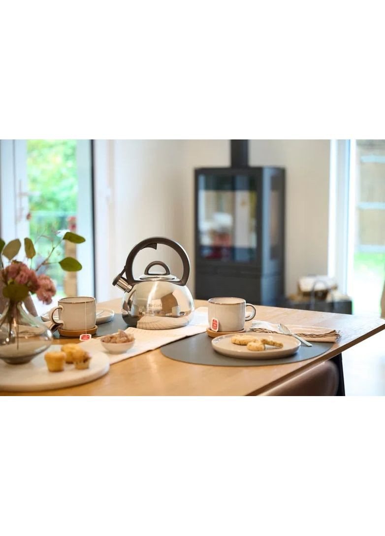 Чайник зі свистком Duetto+, 2.5л, нержавіюча сталь, сталевий, чорний Tefal (371633056)