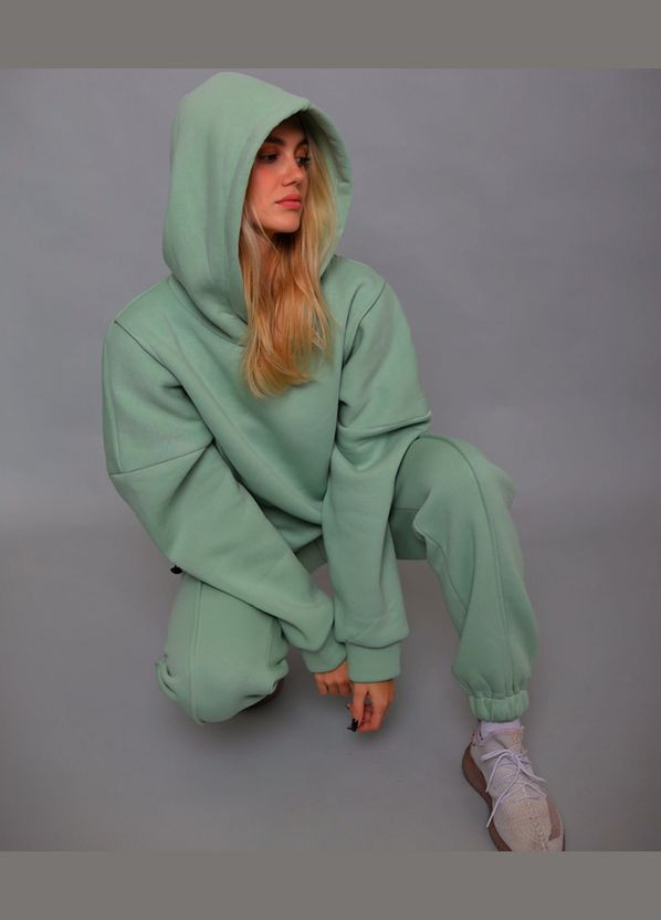 Женский теплый спортивный костюм с капюшоном, турецкая трехнитка на флисе No Brand (315408736)