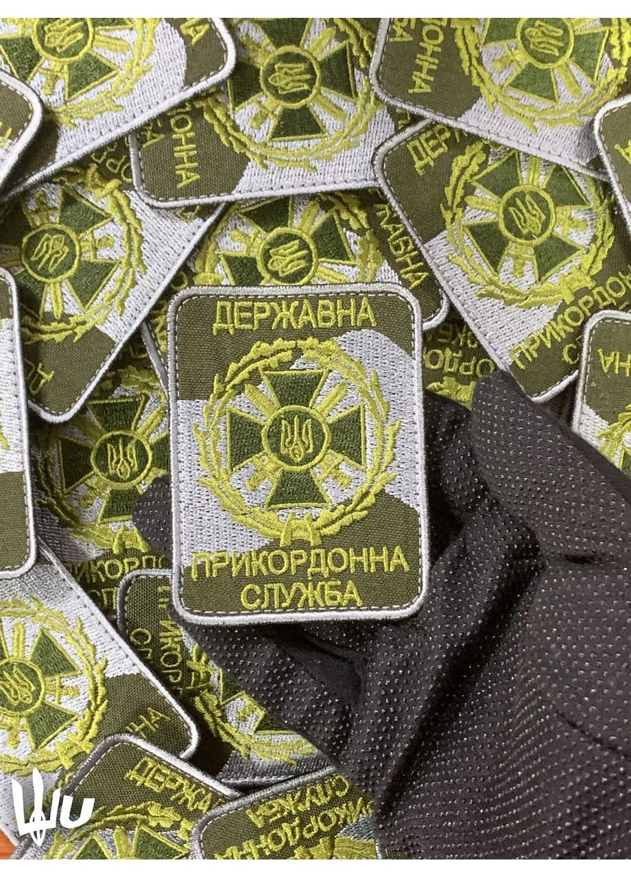 Шеврон нарукавный Государственная пограничная служба. ДПСУ (форма прямоугольная. На липучке) Размер 8x6см No Brand (369924542)