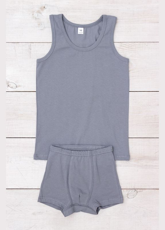 Світло-сірий демісезонний комплект для хлопчика (майка+боксери) (p-8564) Носи своє