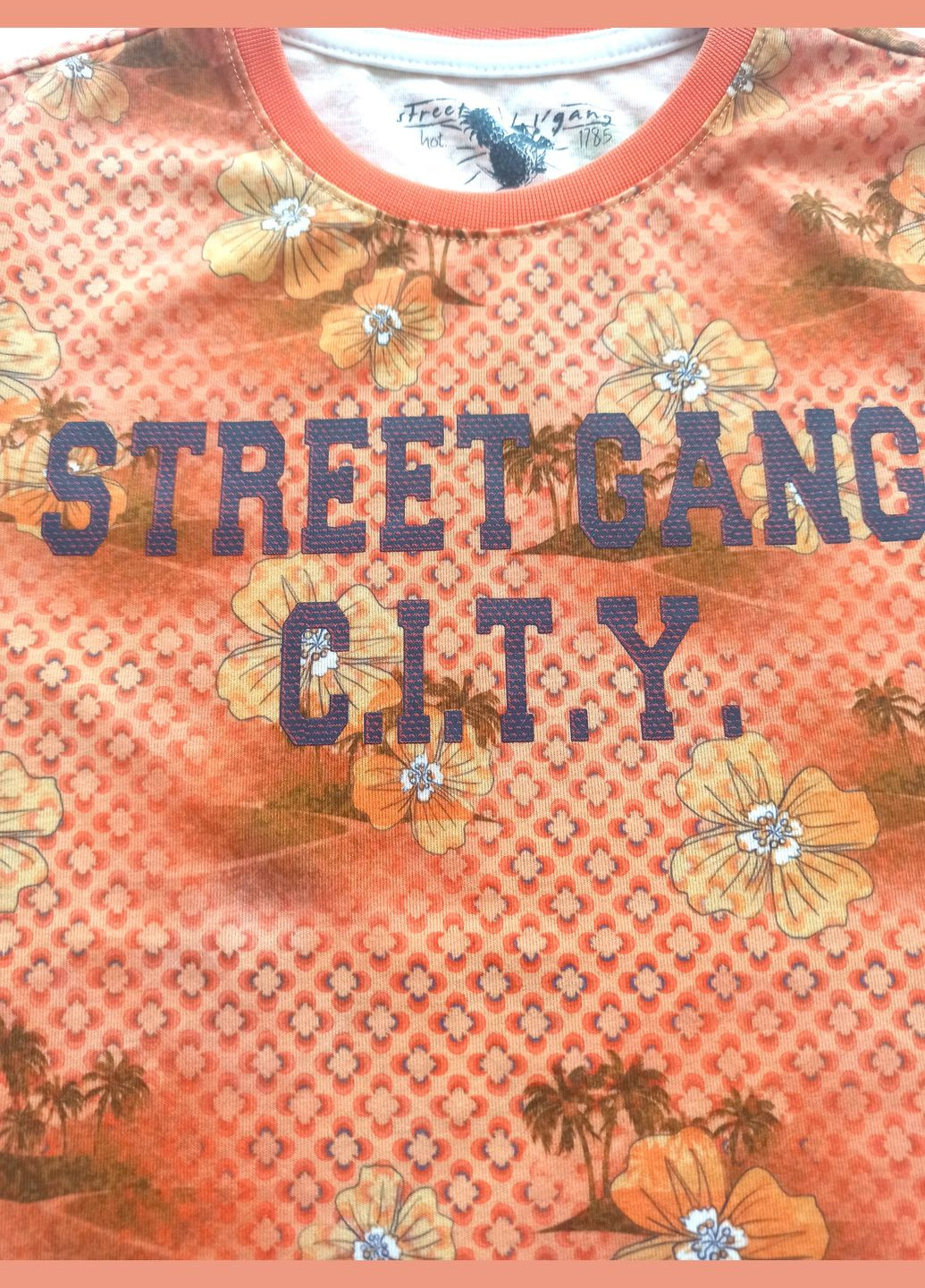 Помаранчева демісезонна футболка для хлопчика sg4781 оранжева 32 (130 см) Street Gang