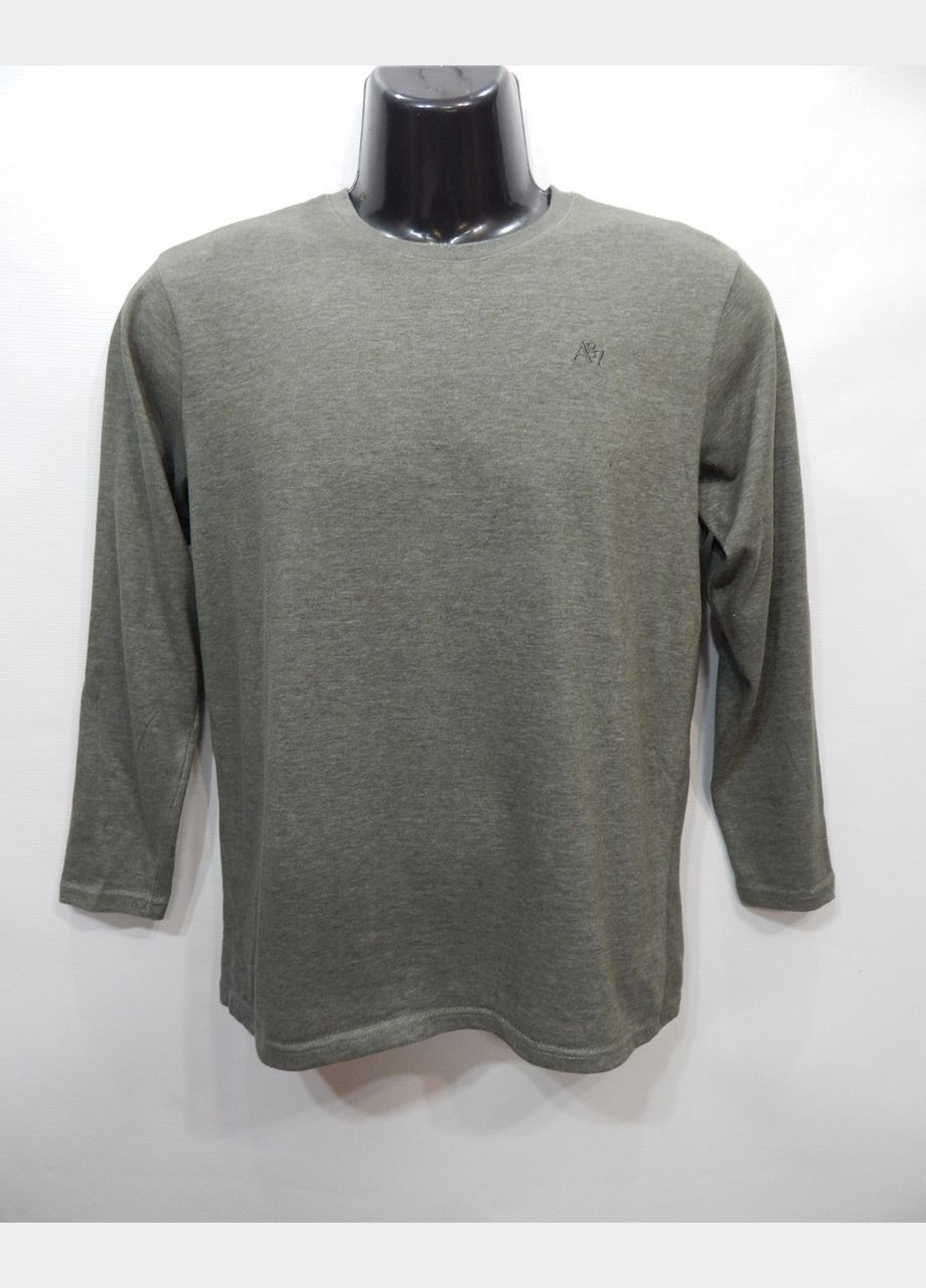 Оливковый демисезонный повседневный лонгслив Aeropostale однотонный