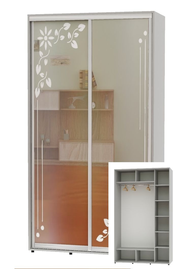 Шафа-купе дводверна 160*60*230 Сірий Дзеркало з піскострумним малюнком Алекса (360444197)