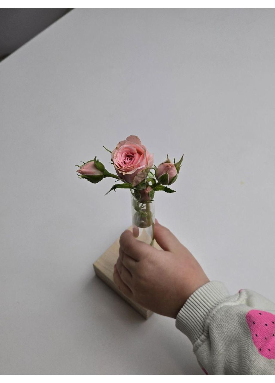 Декоративна ваза-підставка для квітів зі скляними пробірками Maysternya (348319098)