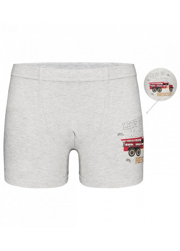 Детские трусы боксеры для мальчика с принтом Donella Боксери (313428834)