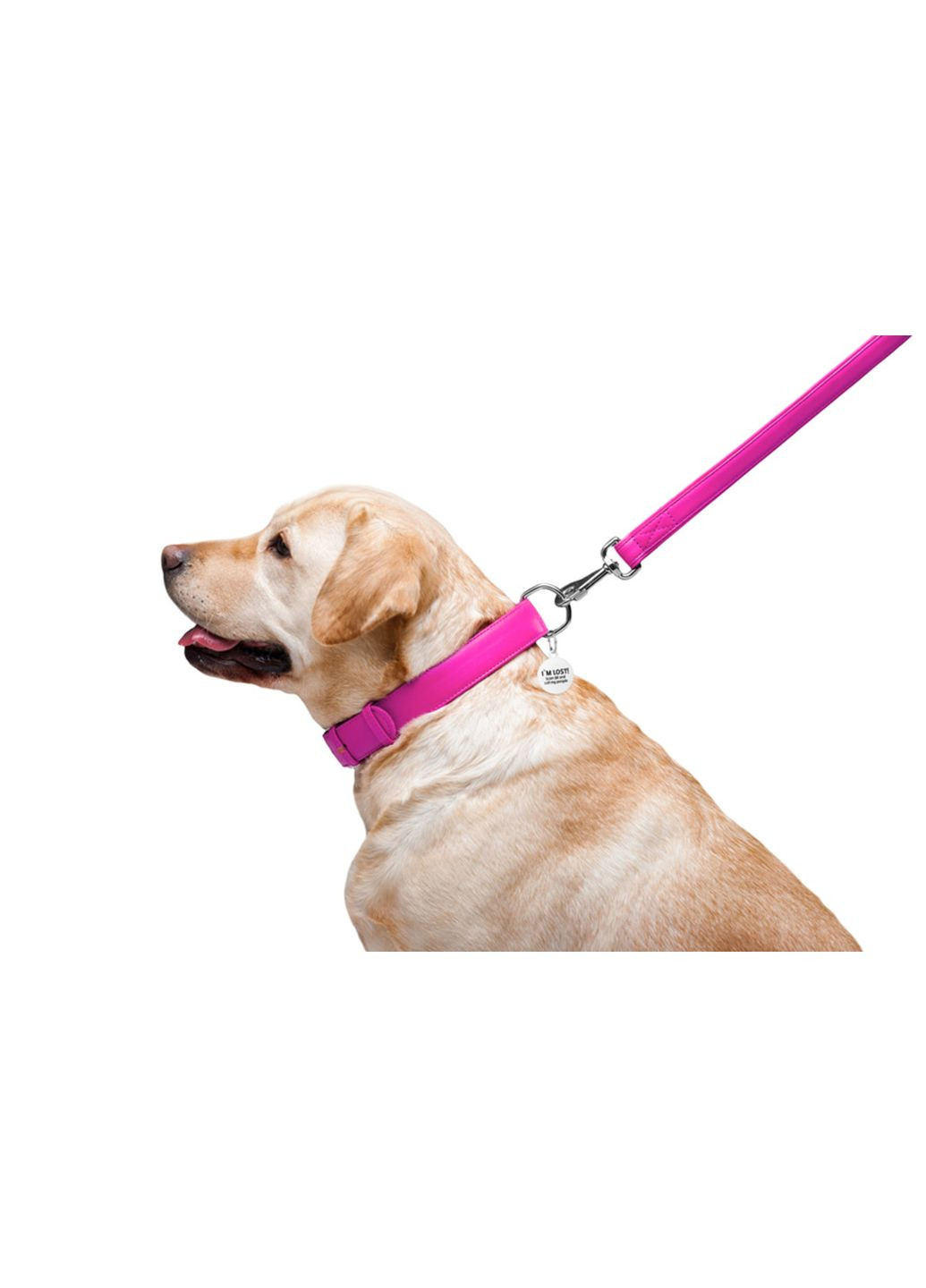 Поводок для собак кожаный Glamour, Ш 25 мм, Дл 122 см розовый WAUDOG (364750669)