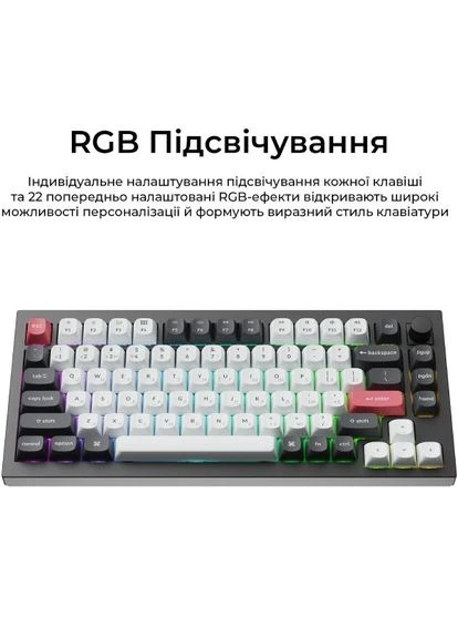 Клавиатура Q1 HE Magnetic Switch RGB Black (Q1H-M1-UA) Keychron (399518397)