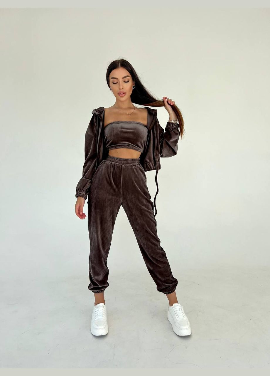 Костюм трійка велюровий Україна (316519695)