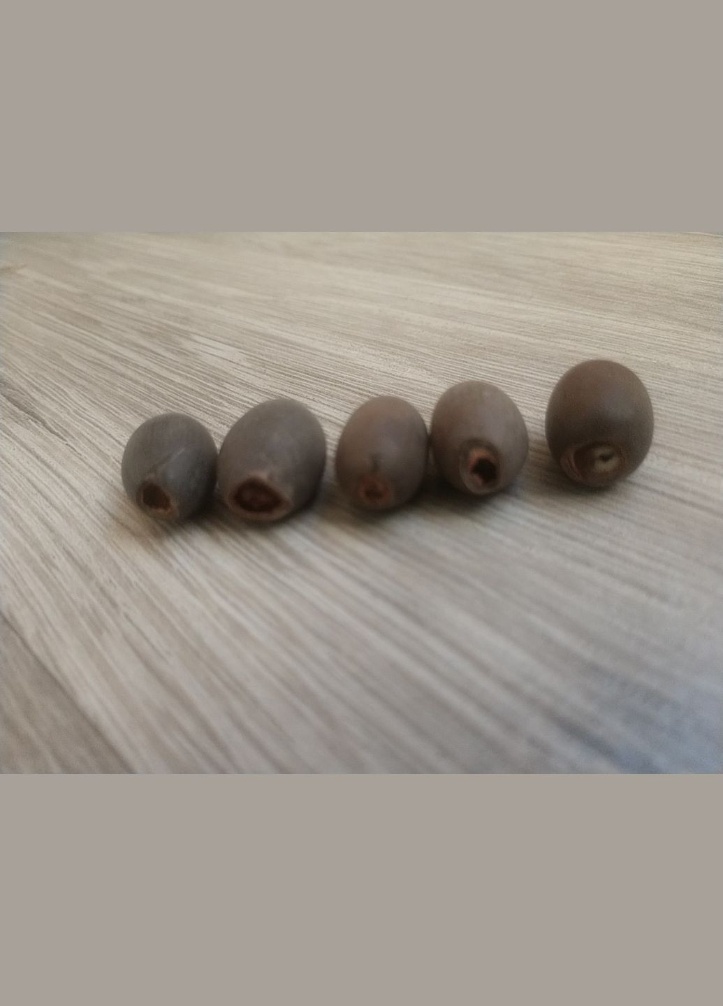 Лотос насіння для вирощування 1шт. No Brand (304401616)