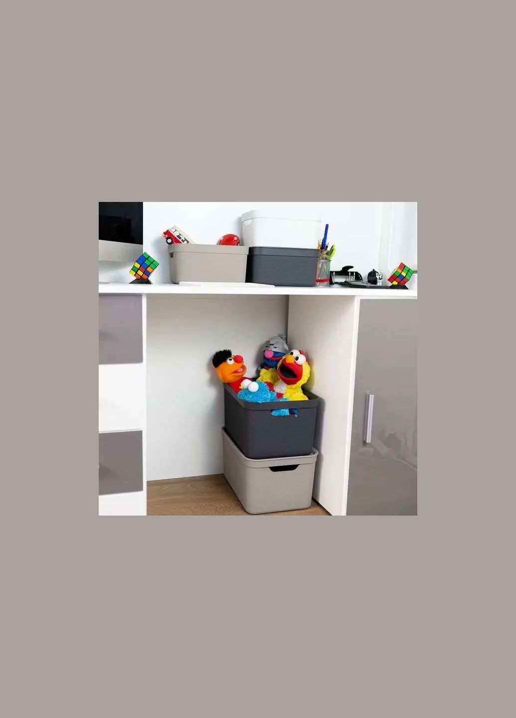 Контейнер для хранения вещей с крышкой Jive 5 л (10522) Rotho (334713624)